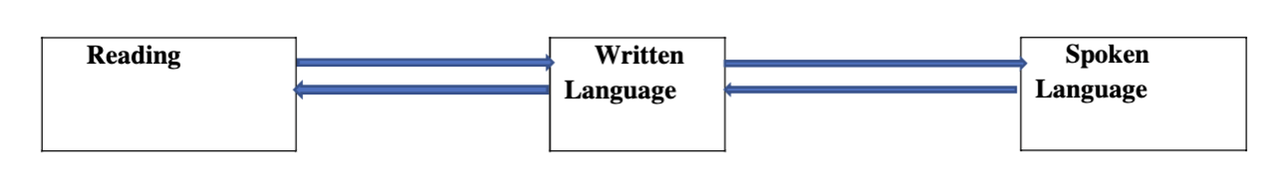 multidirectional-model.png