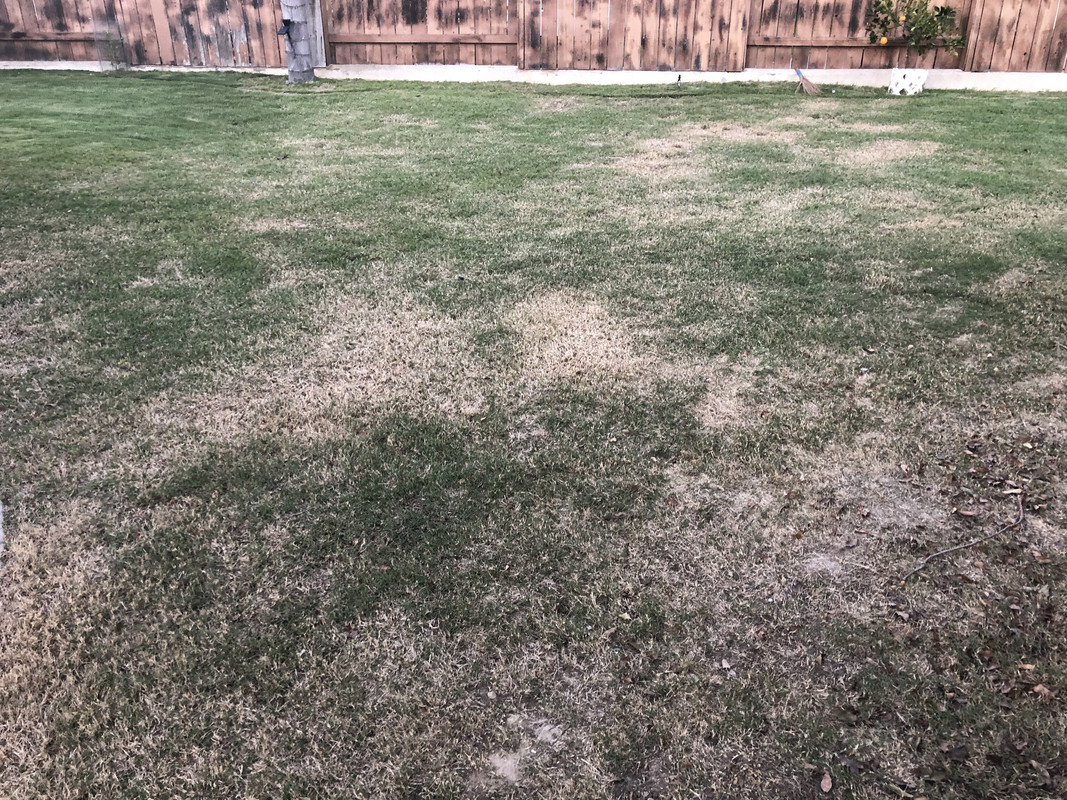 B46E2AFB-54BA-4694-B988-24D6C4EC6124