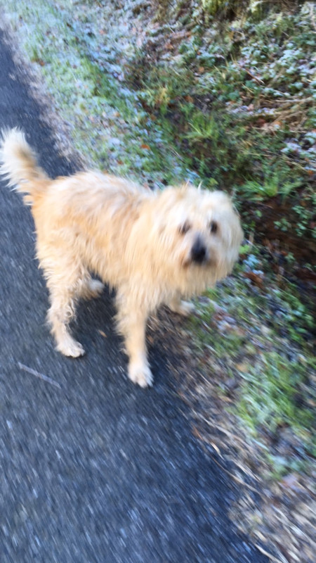 9CFDA36E-0060-4291-8AA4-901D78537F79