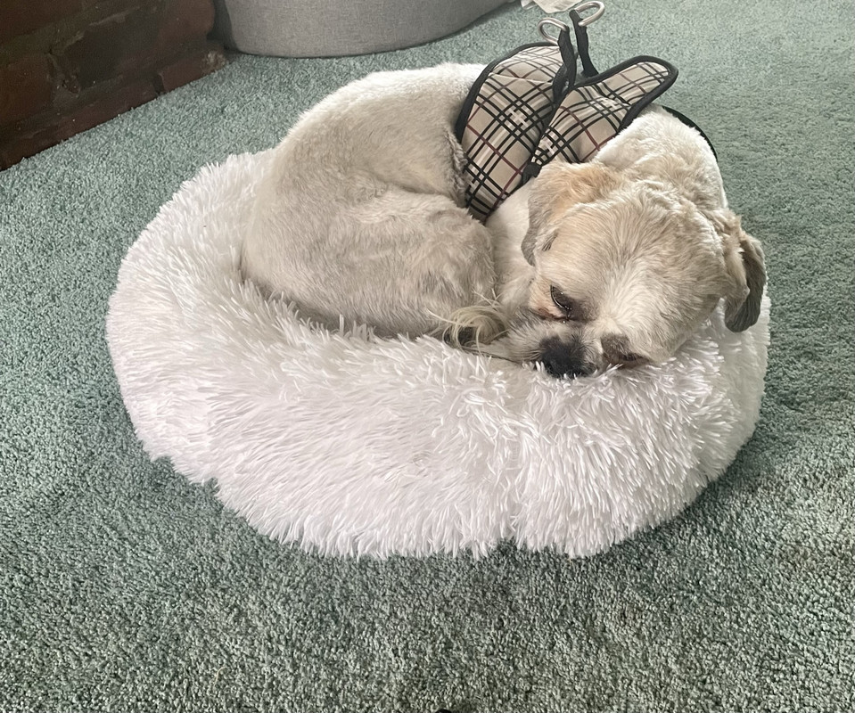 C9820A94-51CD-4807-B487-BFD94F94AFAE_1_102_a