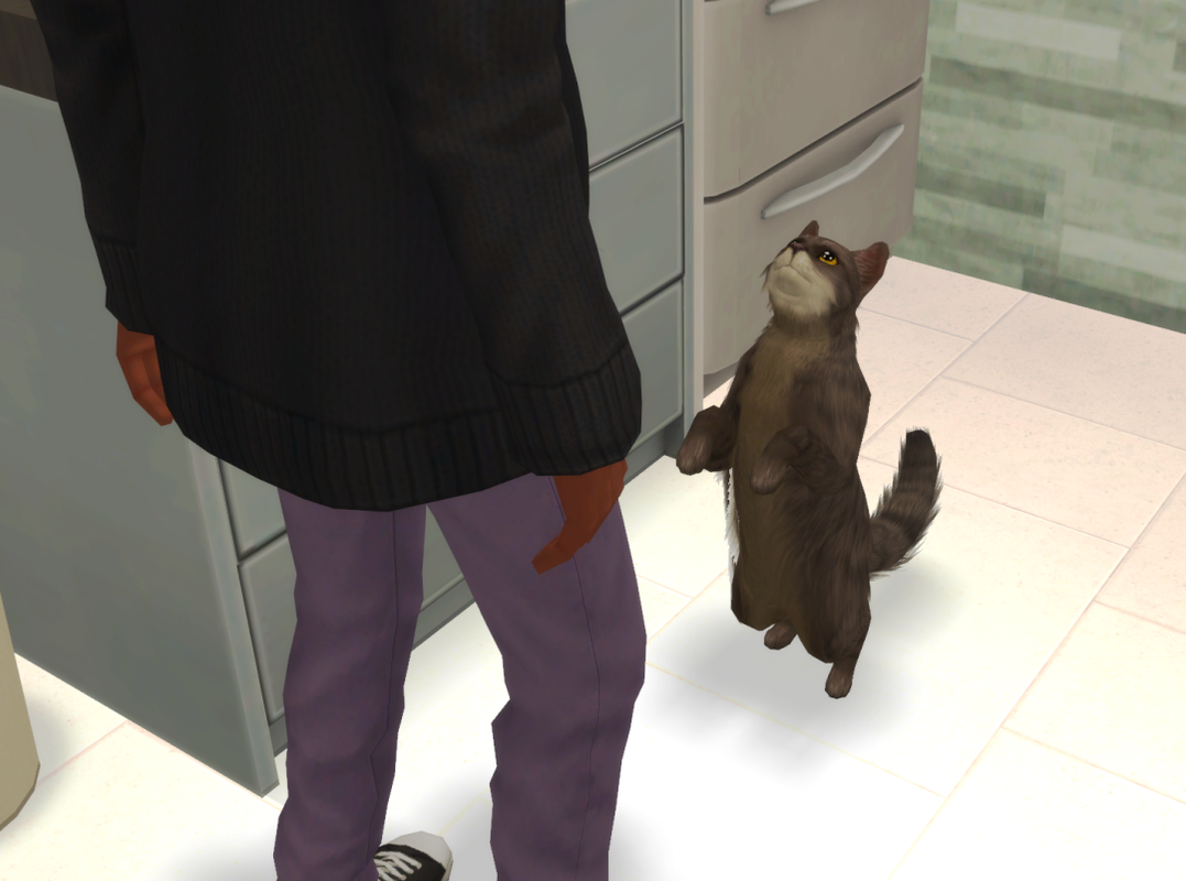 Sims2-EP9-RPC-2024-03-24-16-16-57-20