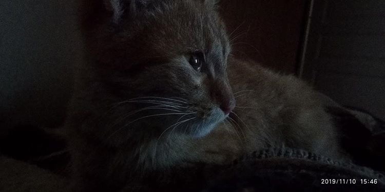 757A44E5-6B74-47DF-B44B-990FC2EC1642