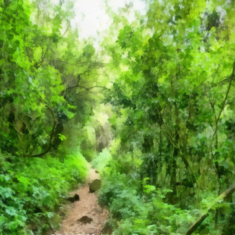 Into The Jungle Papers (18)