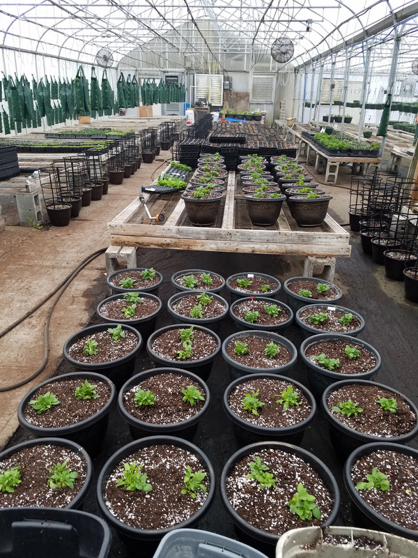 20200313_093950