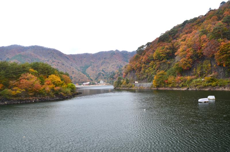 Lago Shōji-16-11-2024 - Japón y sus Pueblos-2024 (8)