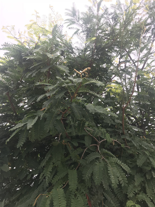 ED3C4372-33F1-4B7E-BD2E-9388CE288B14