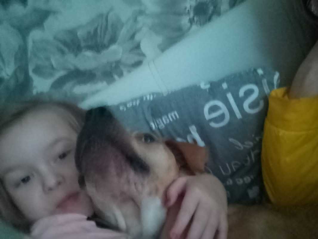 31768945-AB2C-4441-8D42-111661991A6D