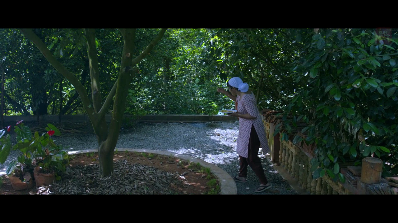 vlcsnap 2026 02 11 15h44m52s607