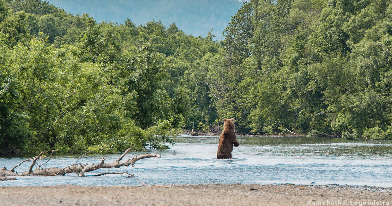 legendy-severa-12b Ажабачье озеро – рыбный рай Камчатки