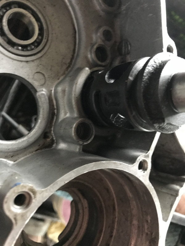 CE98F369-0781-4D6C-B4A9-97BF032FE267