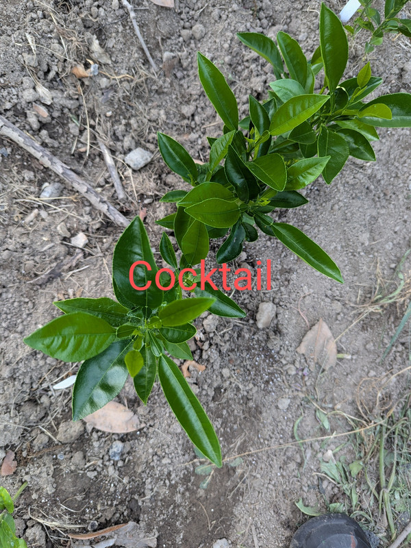 PXL_20240620_231702030~2