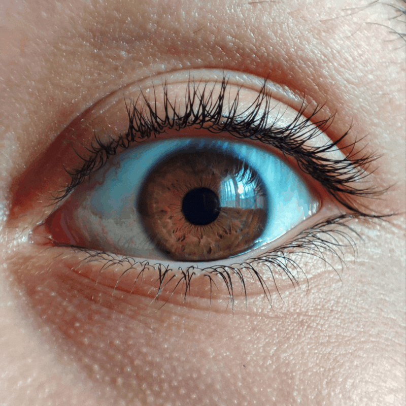 Visistech internet ad (3)