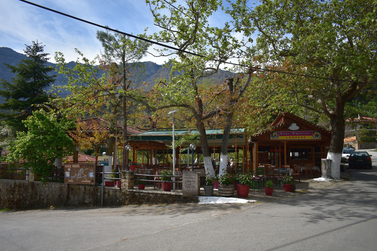 Ευρωστίνη (8)