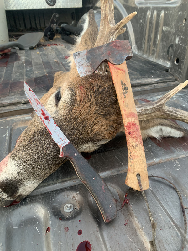 A325E950-79F2-45B0-81F9-7F559FBA3B4F