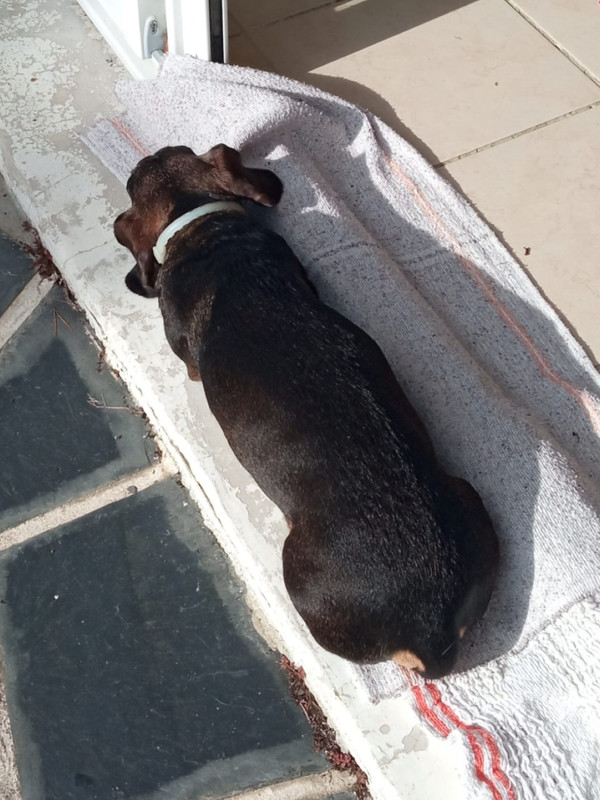 [Image: IMG-20241001-WA0001.jpg]