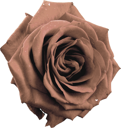 Autumn Witchery (106)