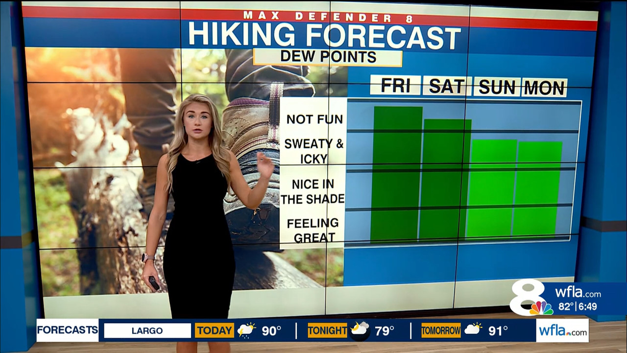 NewsChannel 8 Today at 6a_20230901_11001200.ts_snapshot_00.51.04.539