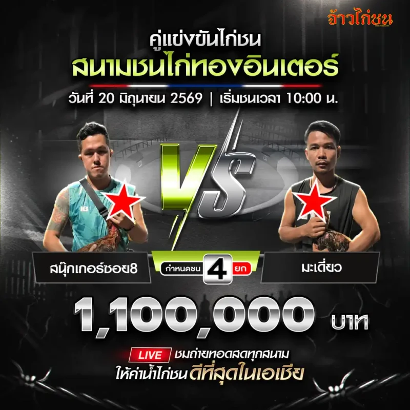 สนุ๊กเกอร์ซอย8 พบ มะเดี่ยว โปรแกรมไก่ชน สนามชนไก่ทองอินเตอร์ 20 มิถุนายน