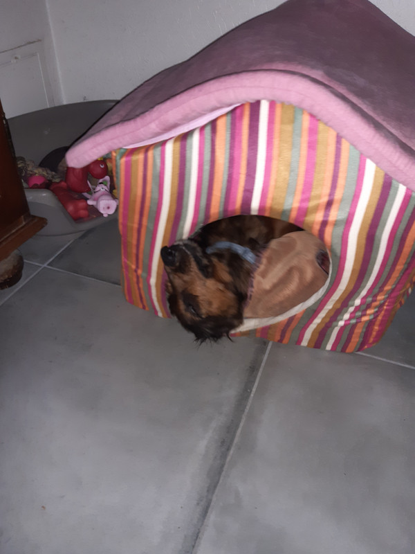 [Image: 20200730-191047.jpg]