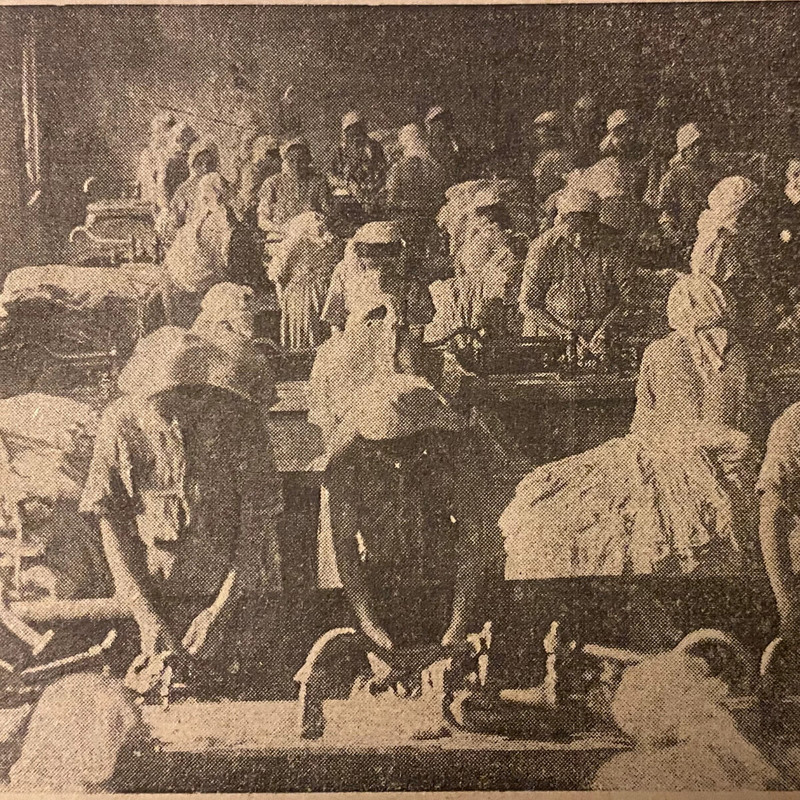 1263168-b8d8aec2e31de2a8de6afd030b9bf4b9