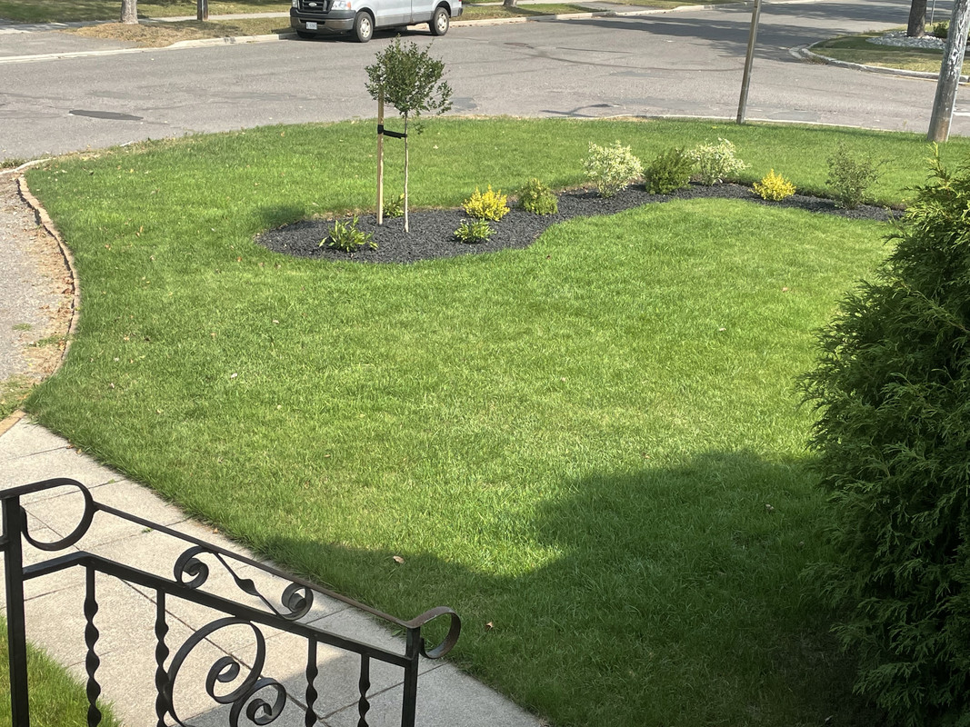 51D7E463-FF1D-4F95-9B56-6E31F33B493D