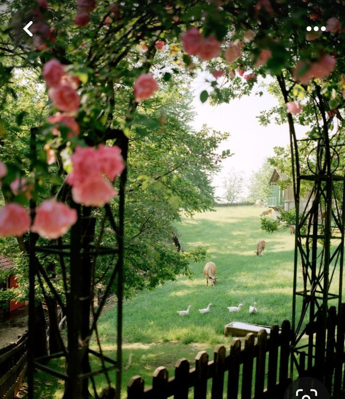 Screenshot_20240331_163846_Pinterest