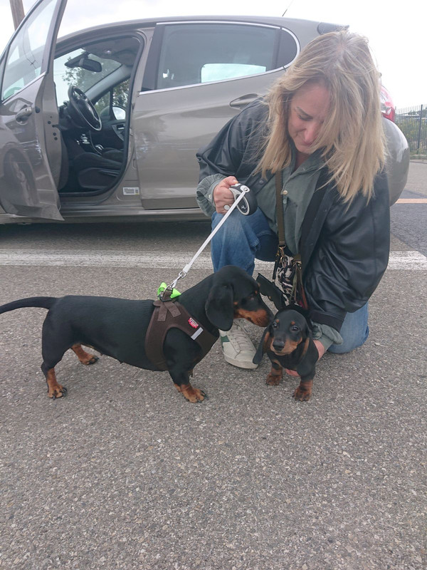 [Image: IMG-20241007-212802.jpg]