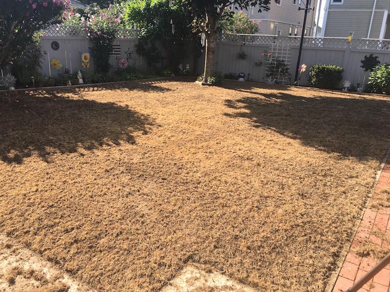 2017_Backyard_Seed_Down_Raking_1_small