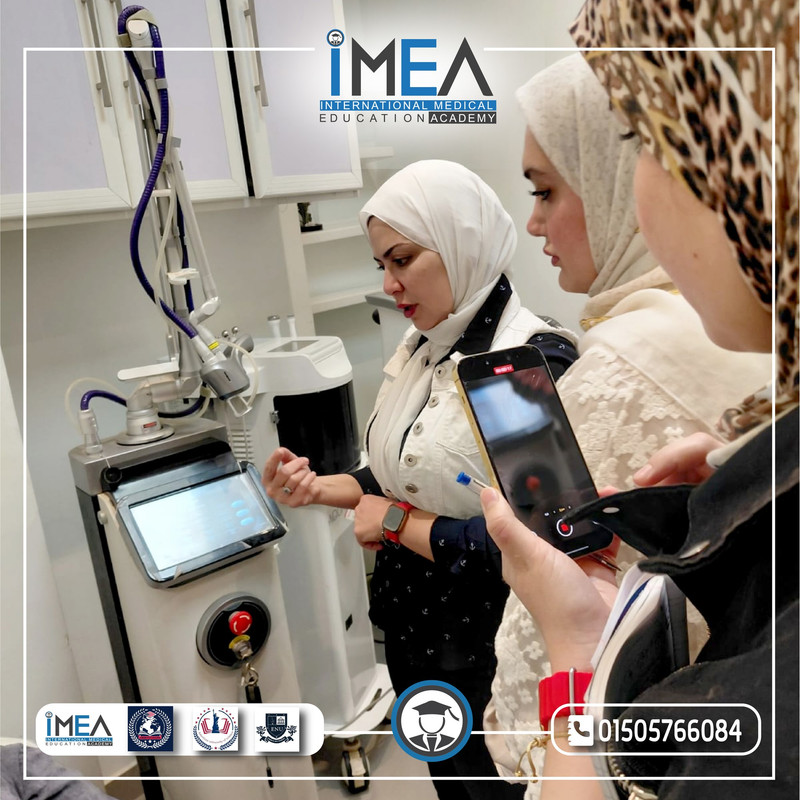 IMEA Gallery 7