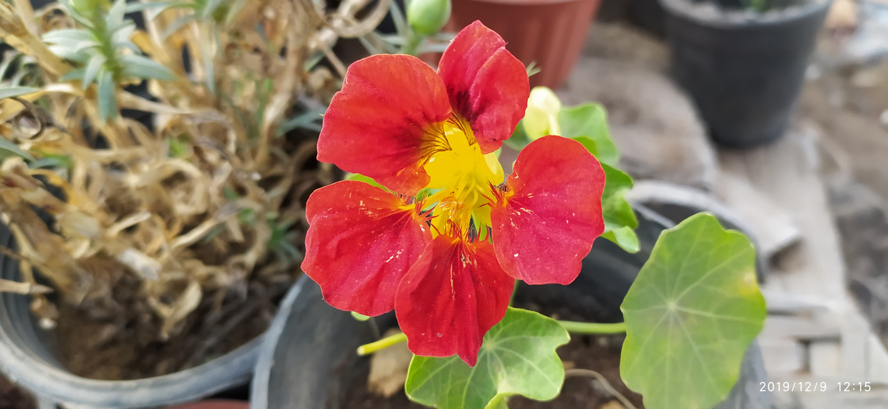 IMG_٢٠١٩١٢٠٩_١٢١٥٤٩