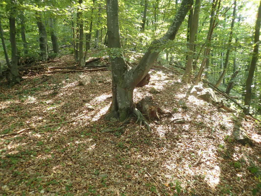 RUTIZAM SRBIJA - DragoševacJerinin grad (jagodinski) (12)