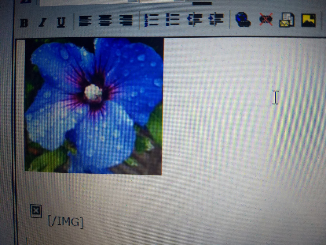 IMG_20190813_063820077 (2) hib example