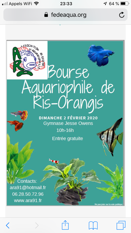 FD6F80E5-B5DB-45A5-BFCE-62459097DE79