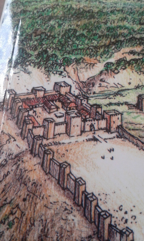 ilustraciones libro (3)