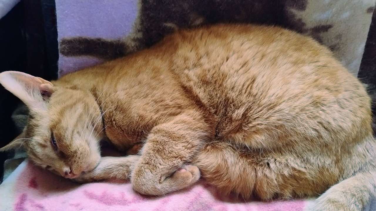 IMG 20260308 122500094 AE