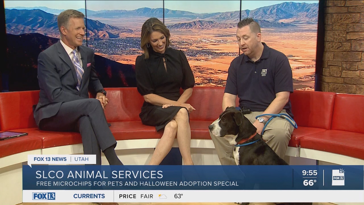 10.04 - 16.00.00 - FOX13 News  Good Day Utah 9AM  ᴺᵉʷ. Utah news, wea....ts_snapshot_00.56.50.048