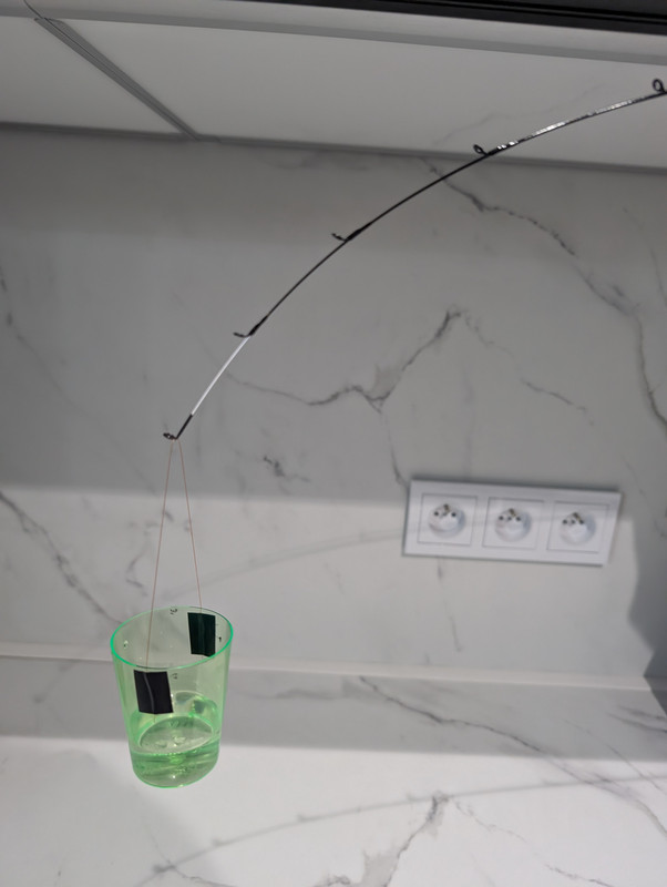 PXL 20260213 080131488