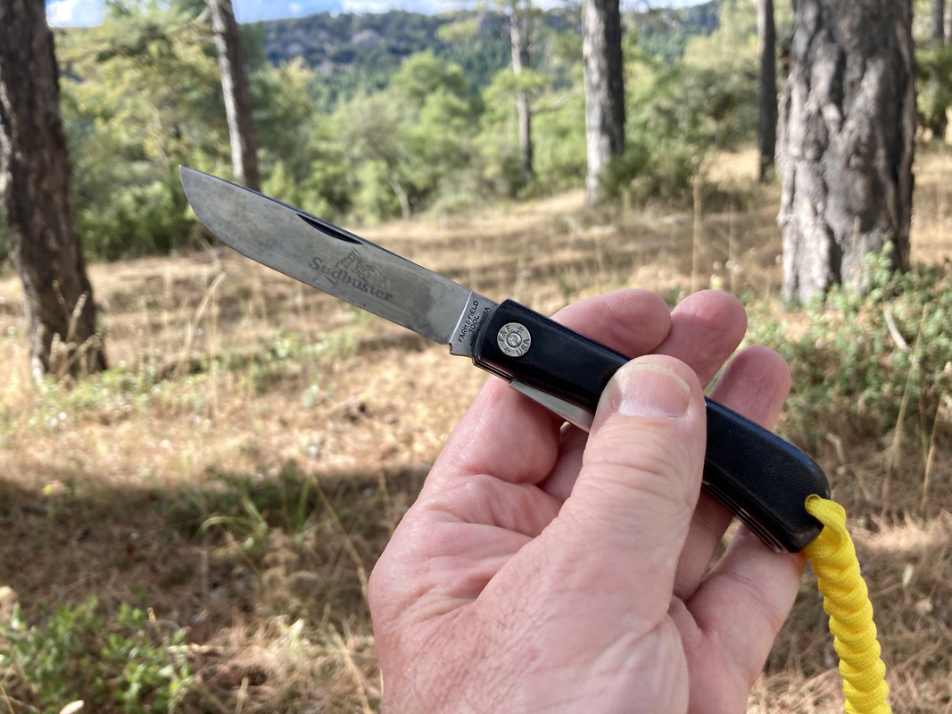 0FE851AE-6017-46F3-8A0E-4B03CE068860