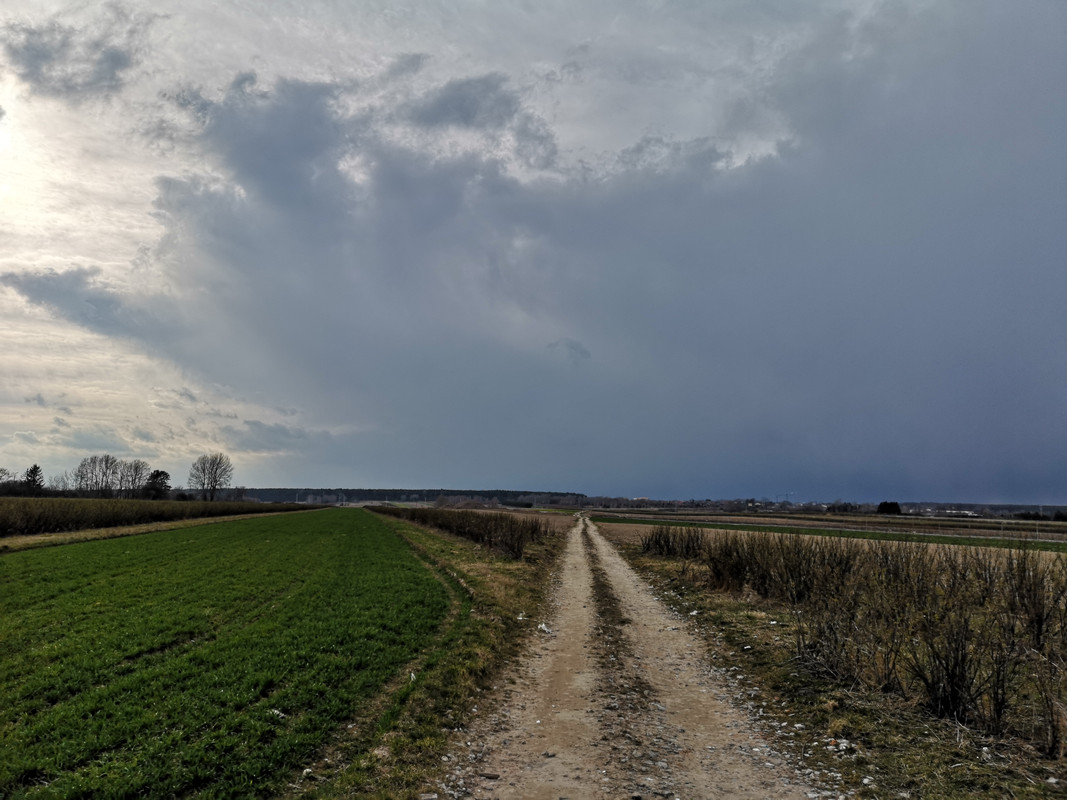 [Obrazek: IMG-20190326-153121.jpg]