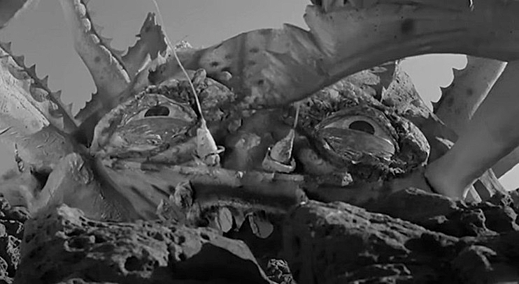 GILLIGANS-ISLAND-ATTACK-CRAB-MONSTERS-8-A-FOTOR.jpg