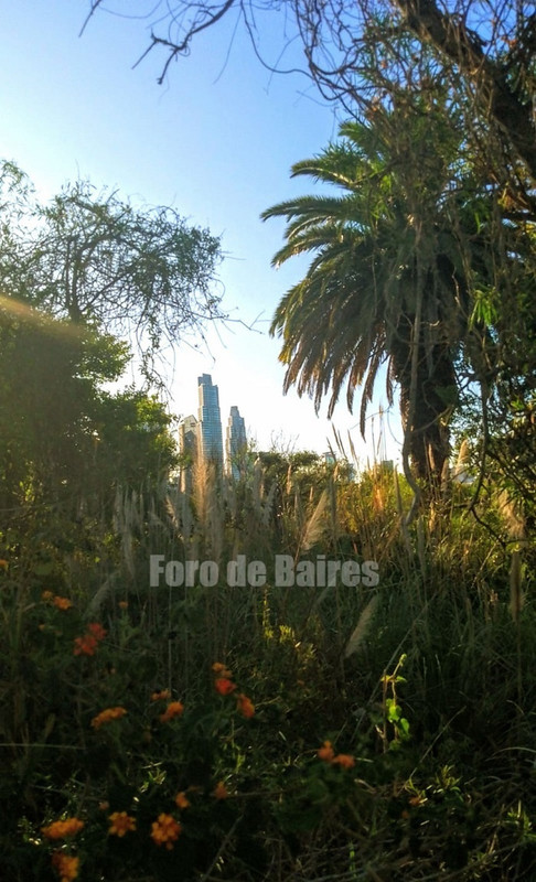 fotocostanerasur5