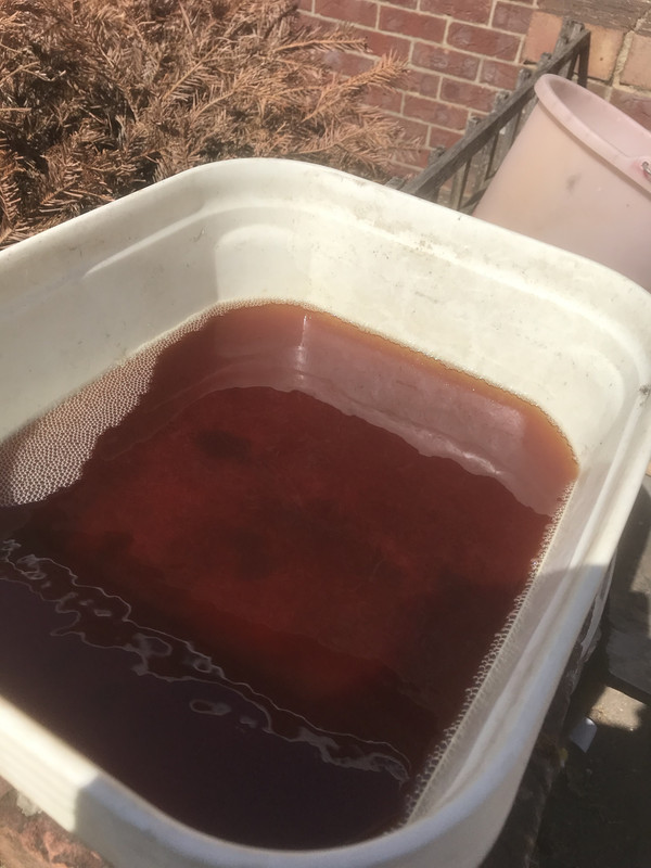 373Vnq4 T5mKKNLBOFN8oA