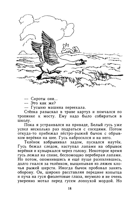 p0019