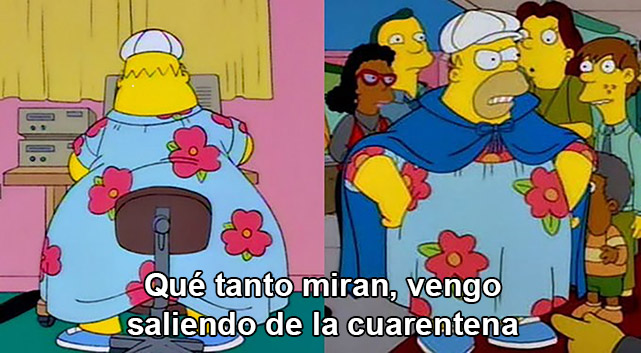 homero-gordo-cuarentena-chico.jpg