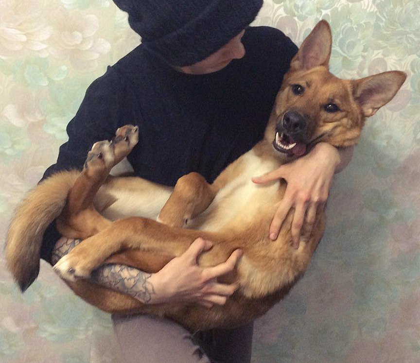 Изображение