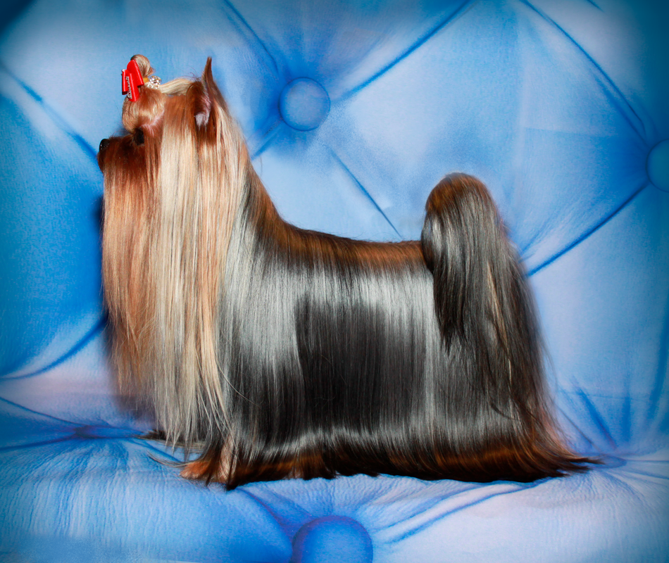 Без-имени-12