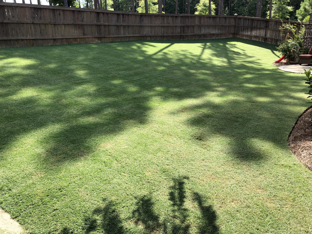 9A6E2E7B-BE92-490F-9C9A-D2F9E965849F