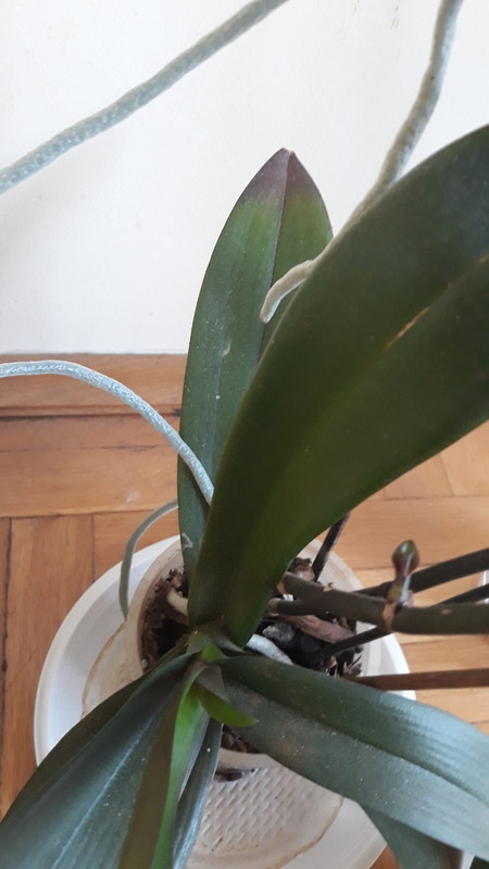 viber_изображение_2019-07-18_11-06-50