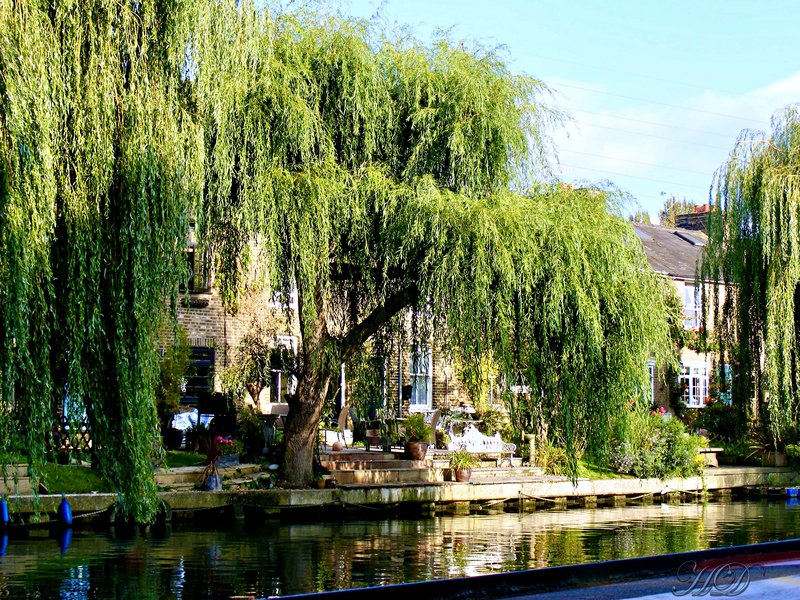 Canal-houses-SA-HD.jpg