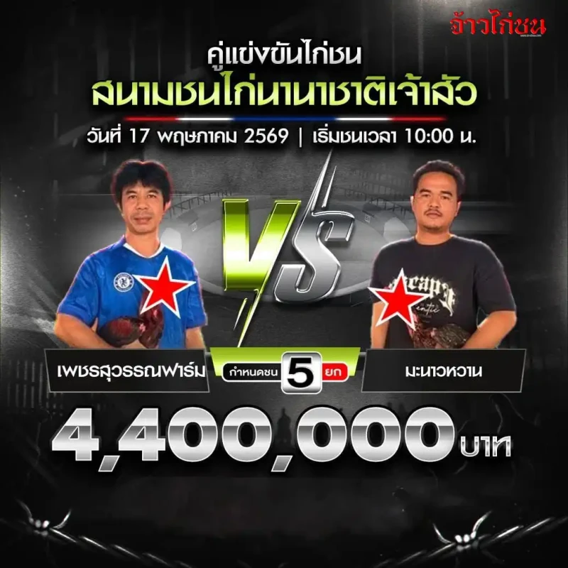 เพชรสุวรรณฟาร์ม vs มะนาวหวาน โปรแกรมไก่ชน สนามชนไก่นานาชาติเจ้าสัว 17 พฤษภาคม 2569